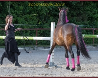 2-13JUIN 0063